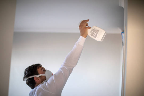 Best Mold Testing and Removal  in Catahou, LA