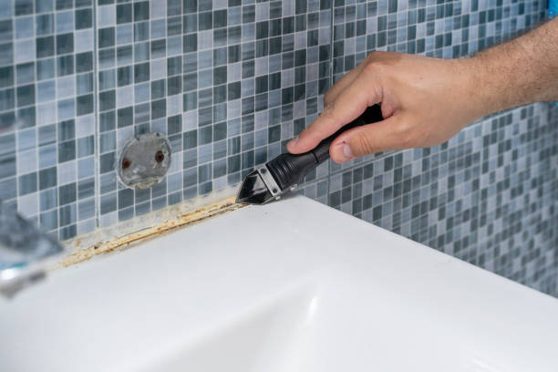 Best Mold Removal Near Me  in Catahou, LA