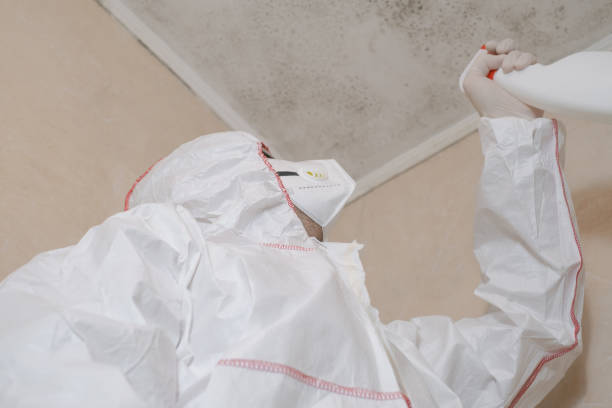 Best Office Mold Removal Services  in Catahou, LA