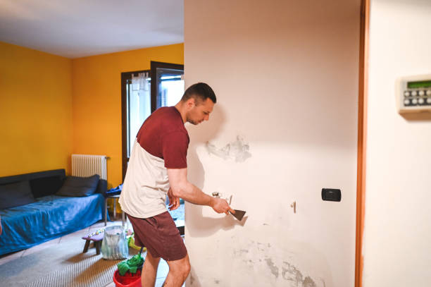 Best Mold Damage Repair  in Catahou, LA